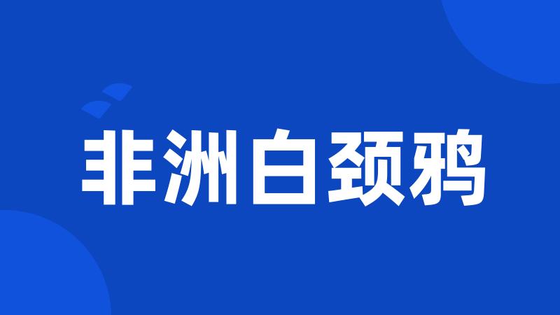 非洲白颈鸦