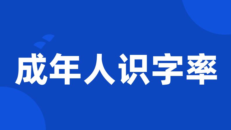 成年人识字率