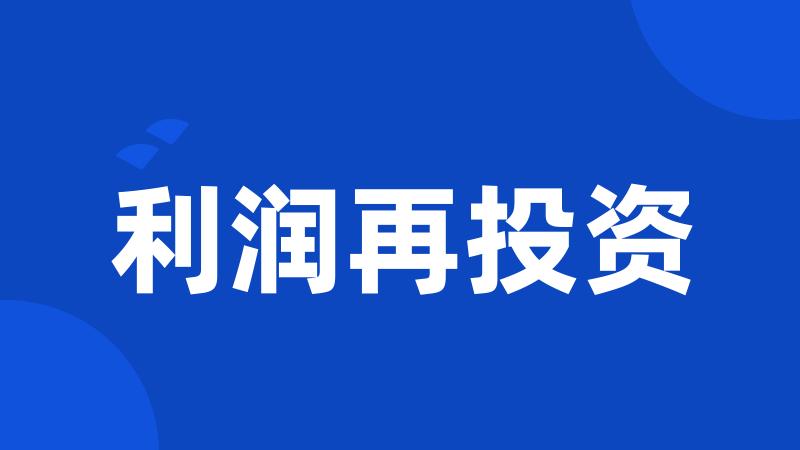 利润再投资