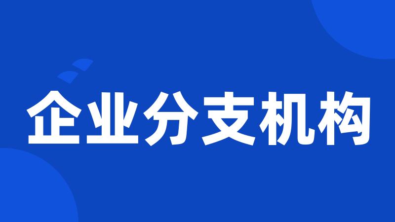 企业分支机构