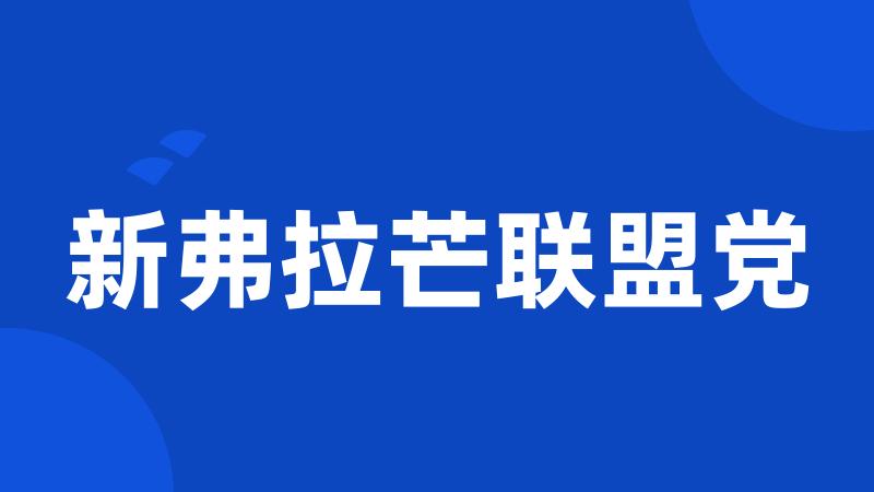 新弗拉芒联盟党