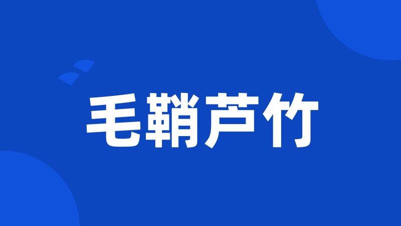 毛鞘芦竹
