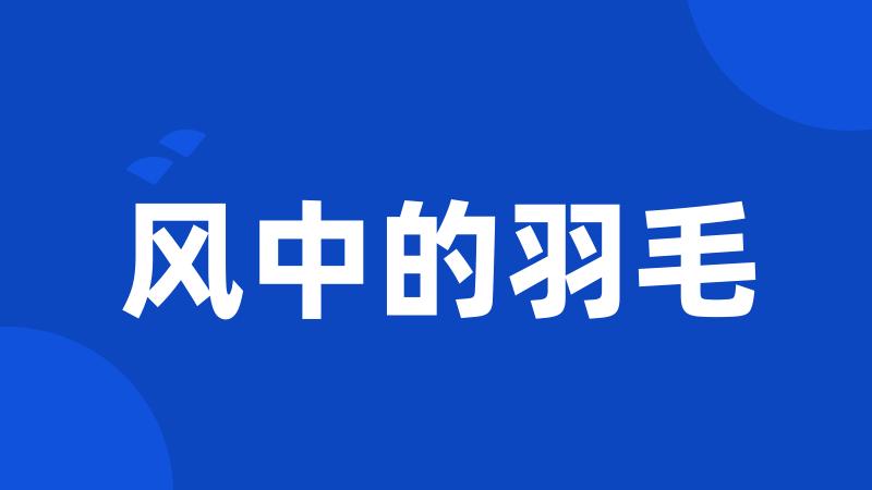 风中的羽毛