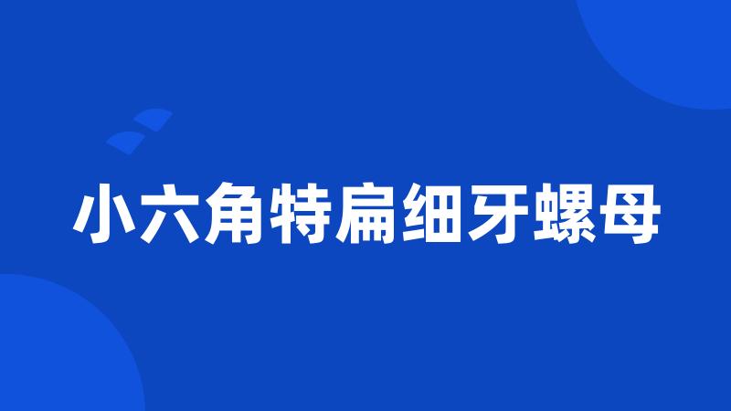 小六角特扁细牙螺母