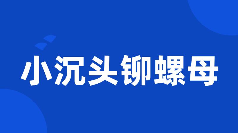 小沉头铆螺母