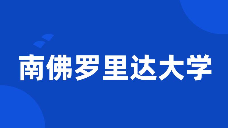 南佛罗里达大学