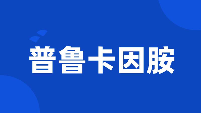普鲁卡因胺
