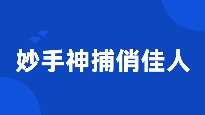 妙手神捕俏佳人