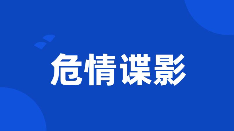 危情谍影