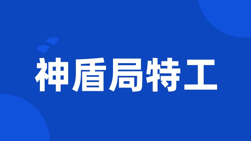 神盾局特工