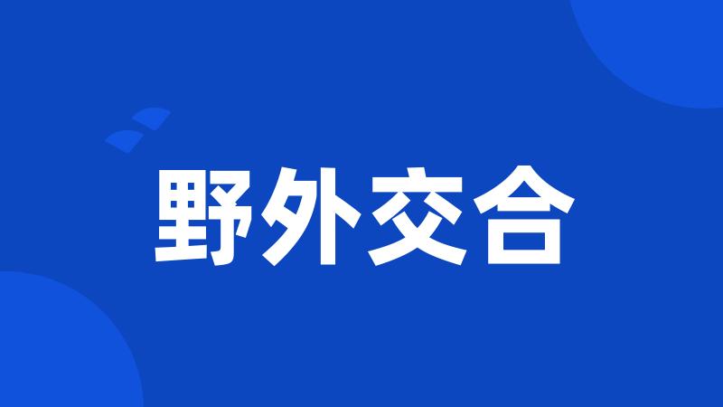 野外交合