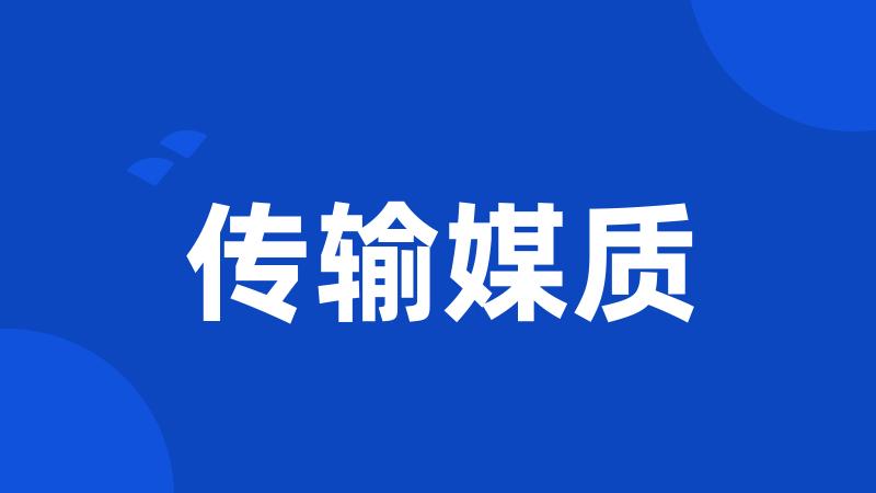 传输媒质