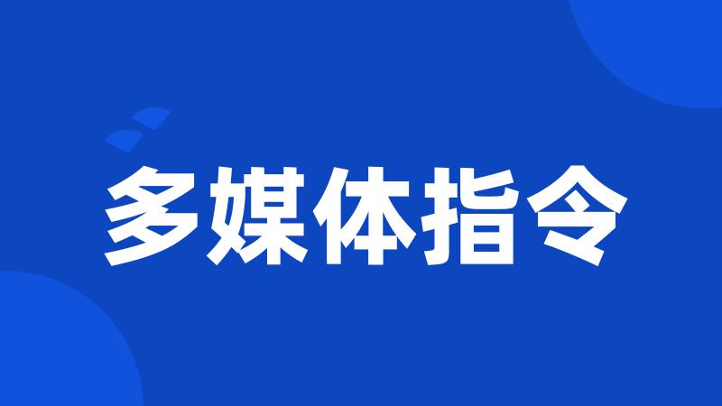 多媒体指令
