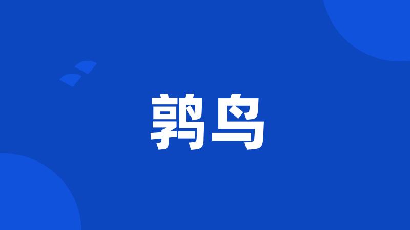 鹑鸟
