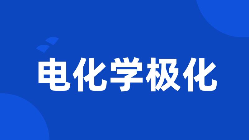 电化学极化