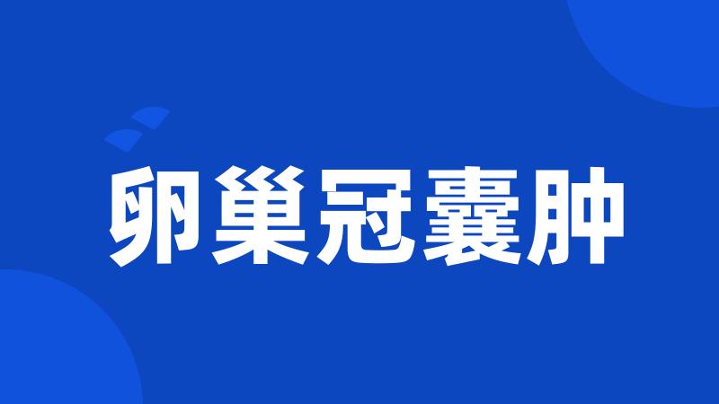 卵巢冠囊肿