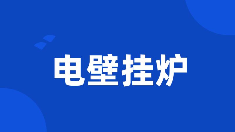 电壁挂炉