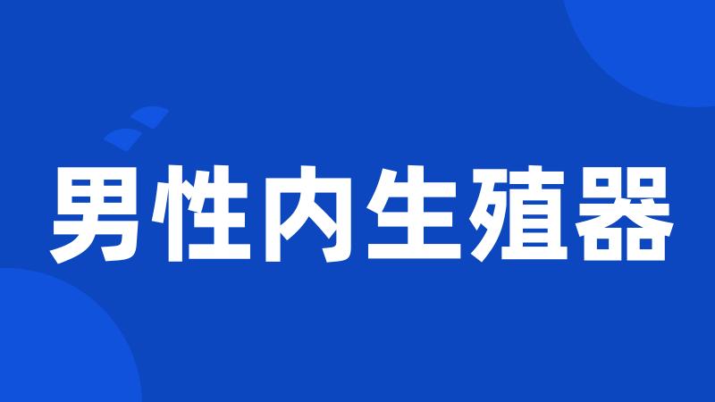 男性内生殖器