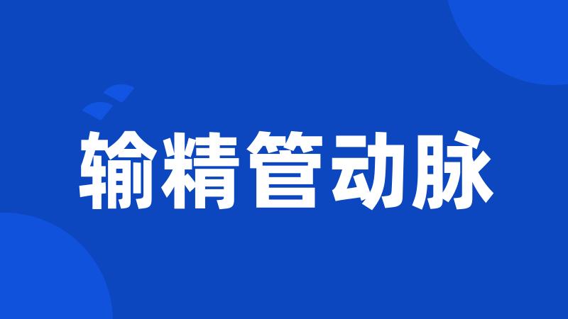 输精管动脉