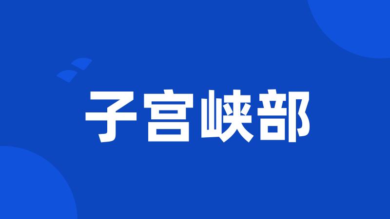 子宫峡部