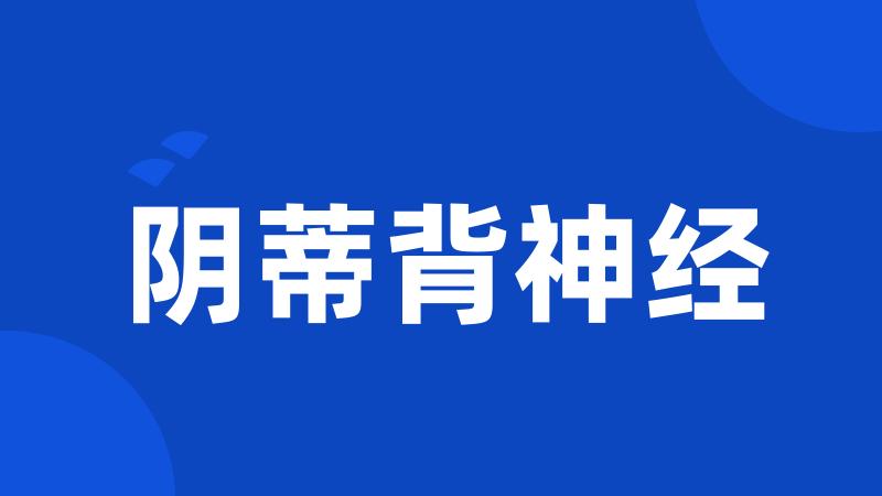 阴蒂背神经