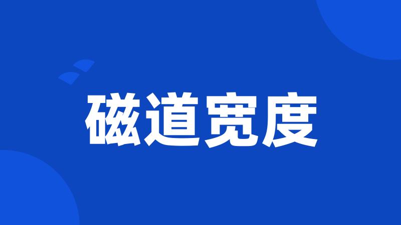 磁道宽度