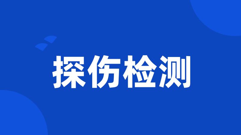 探伤检测