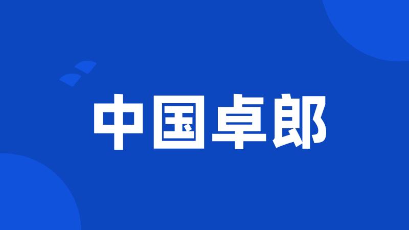 中国卓郎