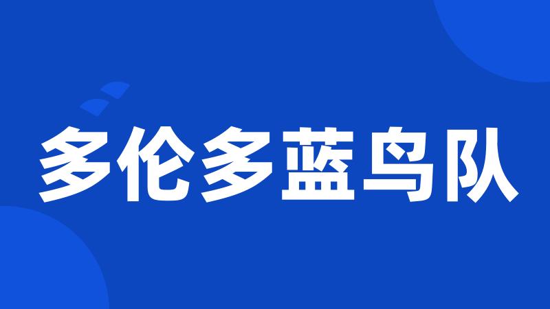 多伦多蓝鸟队