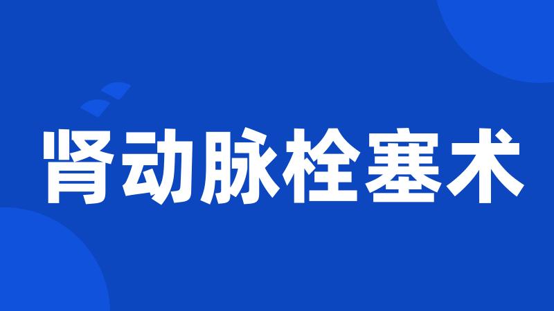 肾动脉栓塞术