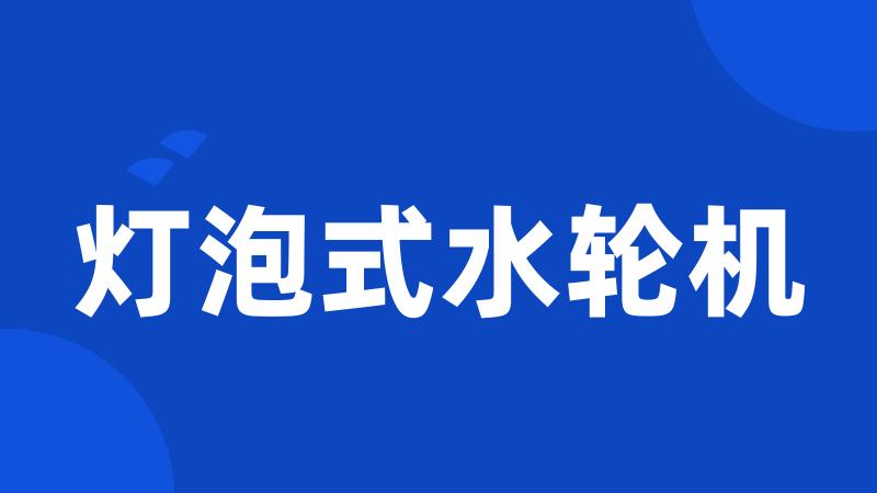 灯泡式水轮机