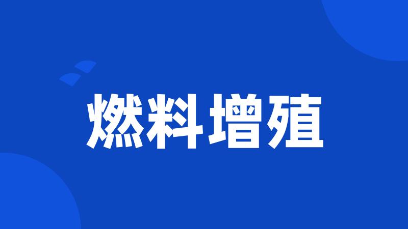 燃料增殖