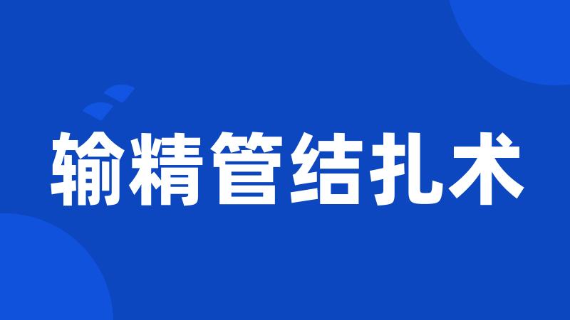 输精管结扎术