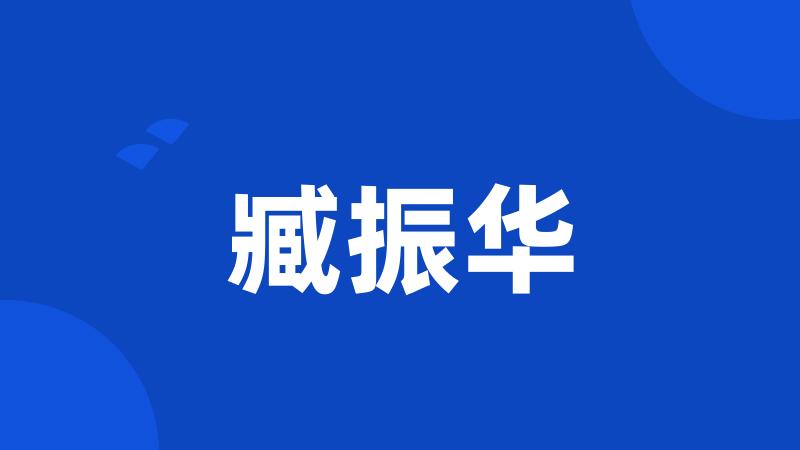 臧振华