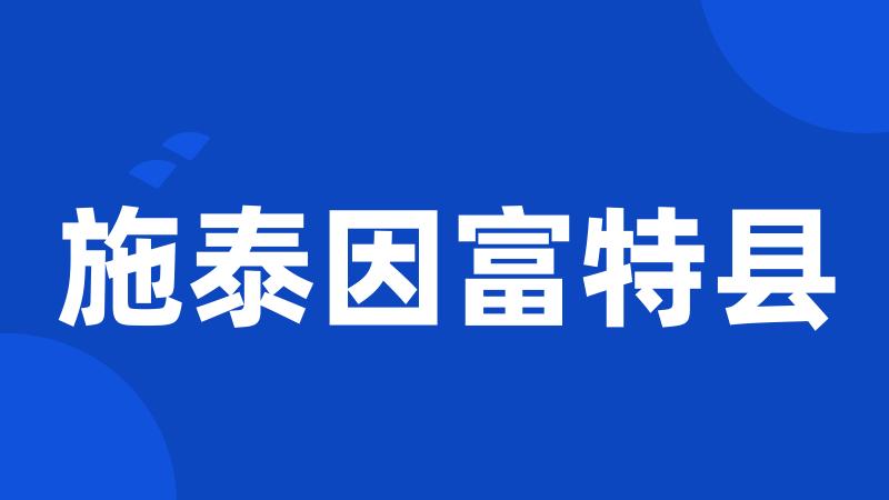 施泰因富特县