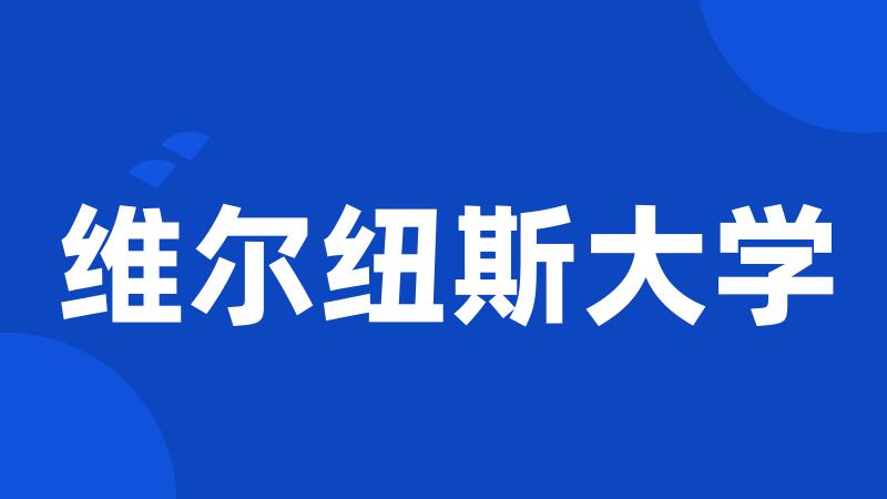 维尔纽斯大学