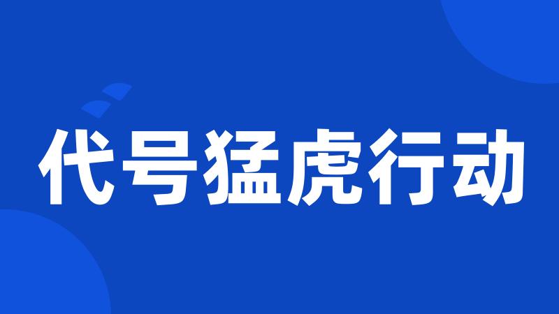 代号猛虎行动