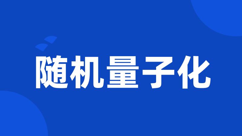随机量子化