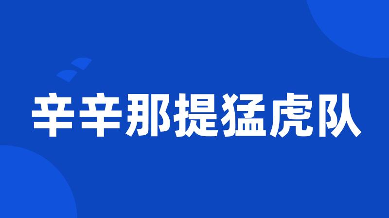 辛辛那提猛虎队