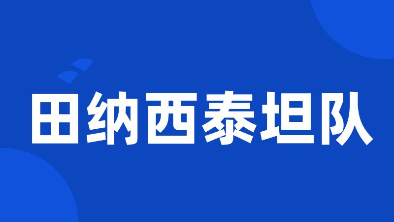 田纳西泰坦队