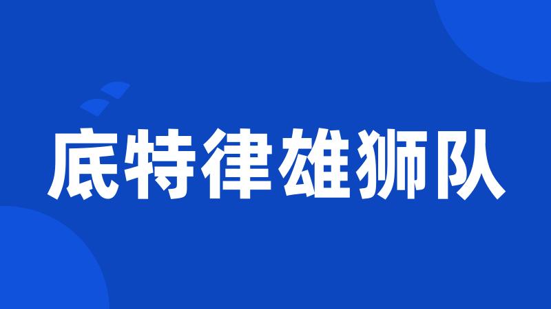 底特律雄狮队