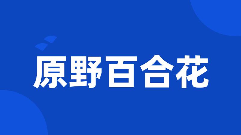 原野百合花