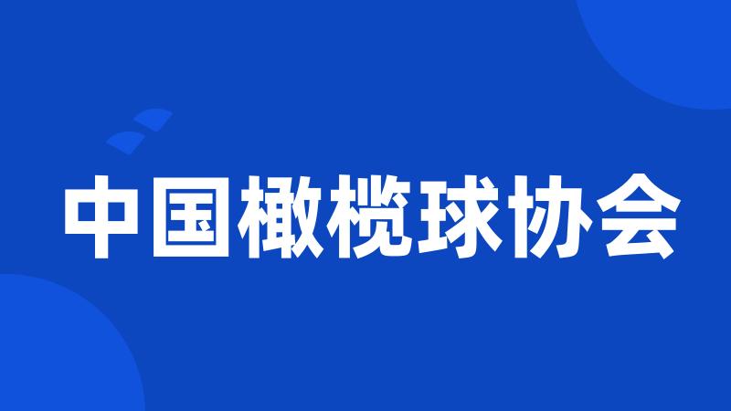 中国橄榄球协会