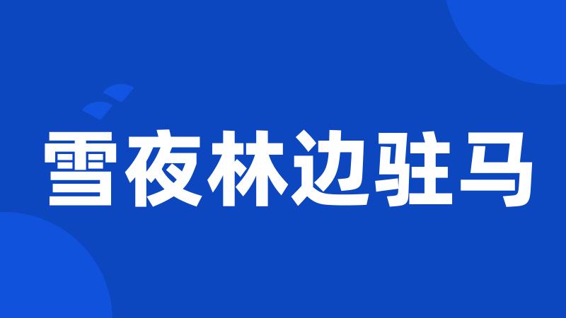 雪夜林边驻马