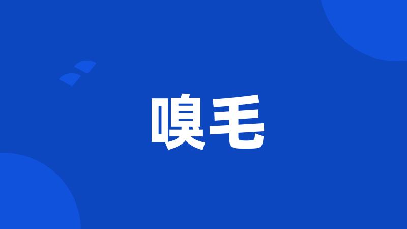 嗅毛