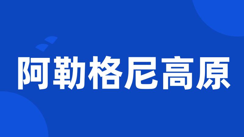 阿勒格尼高原