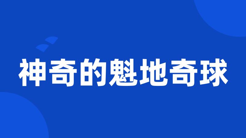 神奇的魁地奇球