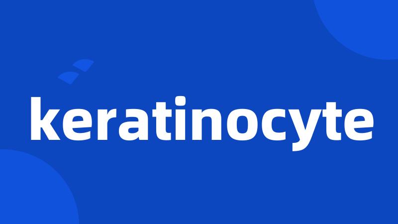 keratinocyte