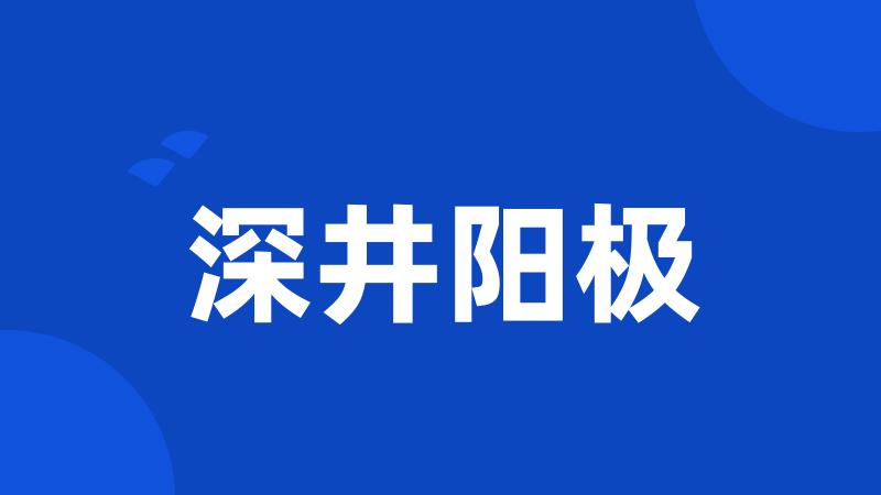 深井阳极