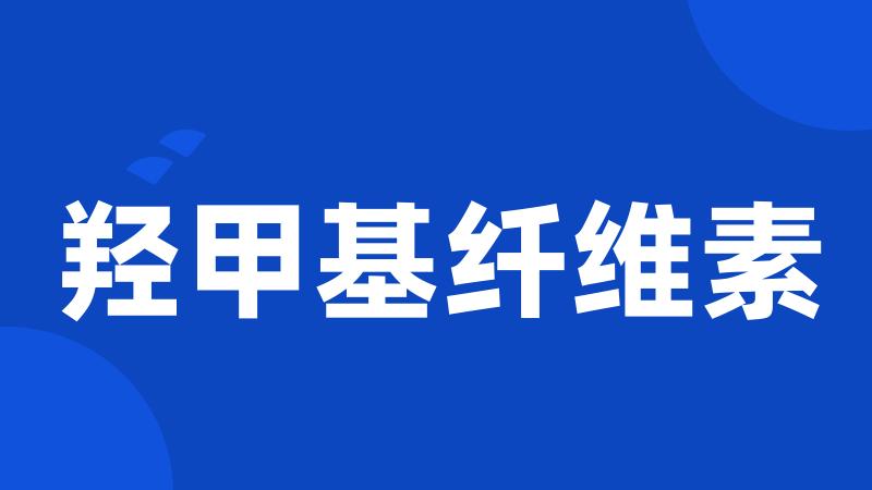 羟甲基纤维素